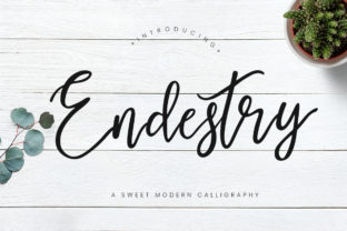Endestry: A Modern Script Font for Branding