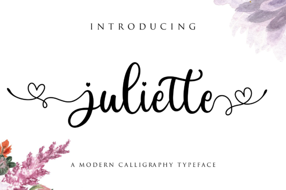 Juliette: A Premium Script Font for Web Design
